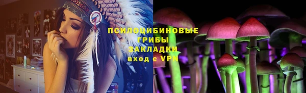 тгк Белокуриха