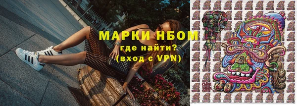 тгк Белокуриха