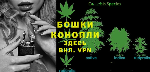 тгк Белокуриха