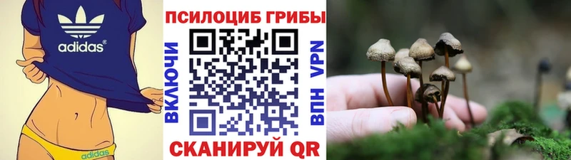 Галлюциногенные грибы мухоморы Салаир