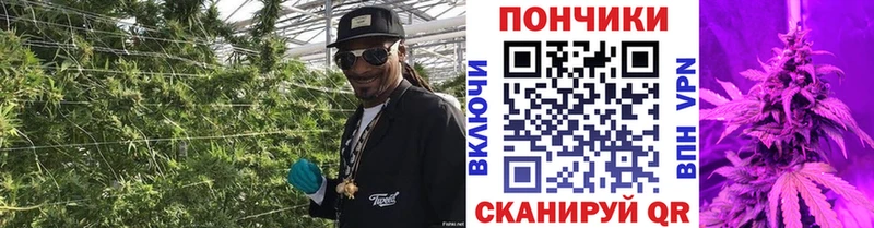 Бошки Шишки MAZAR  гидра сайт  Салаир 